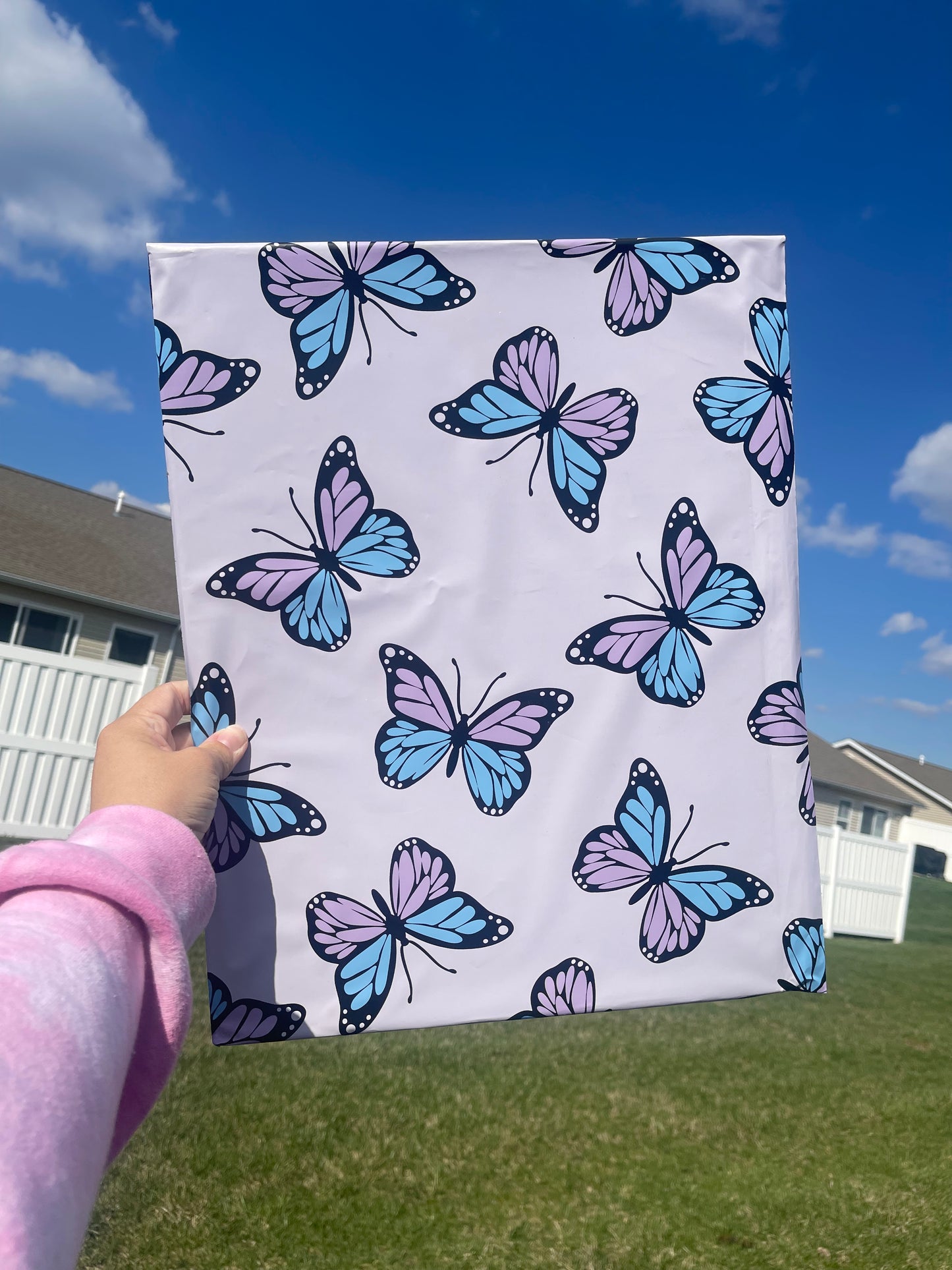 14x17 Butterfly Bliss Poly Mailer