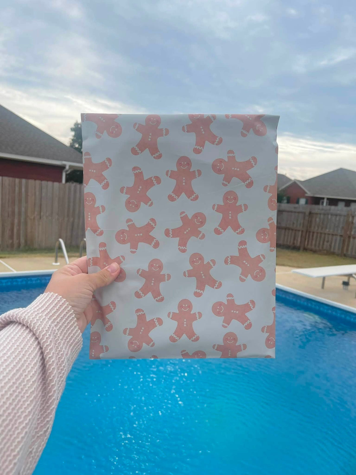 10x13 Gingerbread Poly Mailer